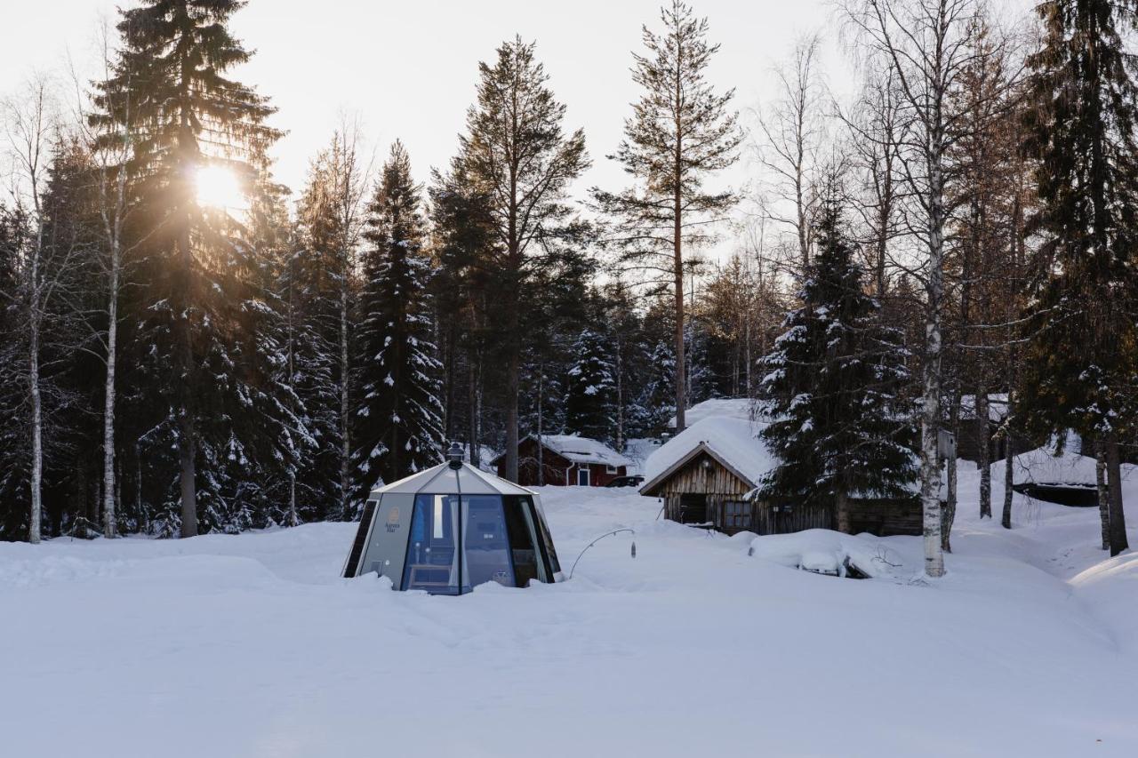 Ollero Eco Lodge ロヴァニエミ エクステリア 写真