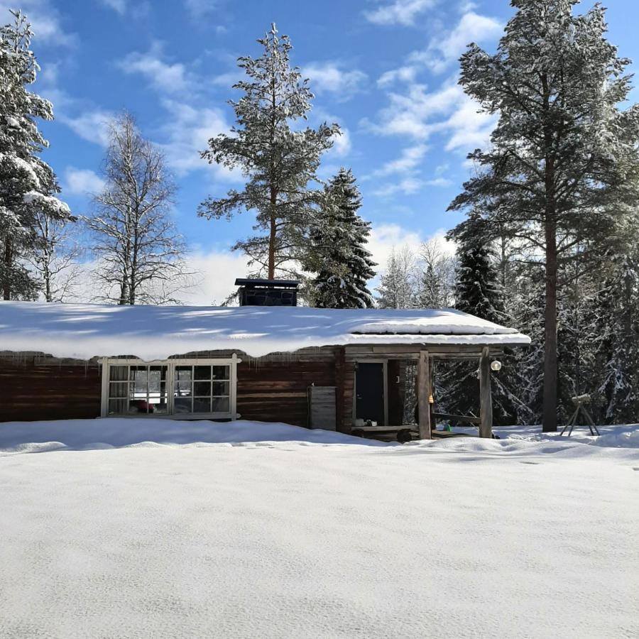 Ollero Eco Lodge ロヴァニエミ エクステリア 写真