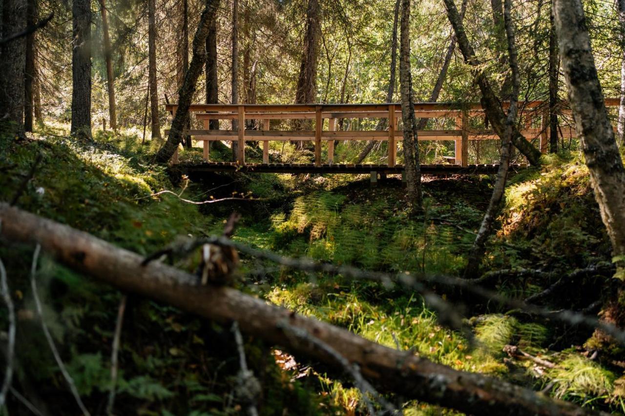Ollero Eco Lodge ロヴァニエミ エクステリア 写真
