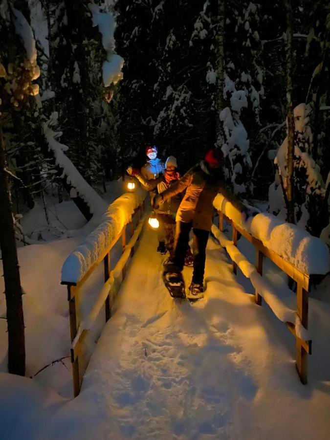 Ollero Eco Lodge ロヴァニエミ エクステリア 写真