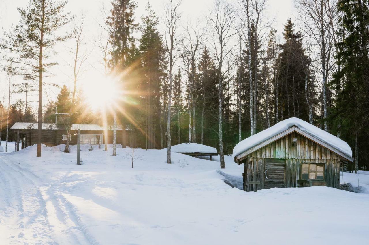 Ollero Eco Lodge ロヴァニエミ エクステリア 写真
